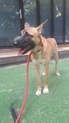 Toffee (S. Korea) hz - Photo 4