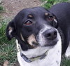 MITZI (Rep of Georgia) yo - Photo 2