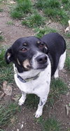 MITZI (Rep of Georgia) yo - Photo 3
