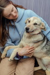 KAYA (Armenia)/LF - Photo 2
