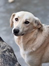 MATILDA (Armenia)/LF - Photo 1