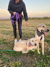 MATILDA (Armenia)/LF - Photo 2