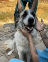 Ether (Lebanon) nt - Photo 3
