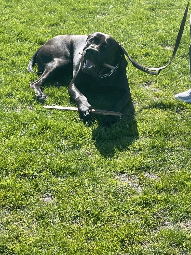 Odin - Courtesy post