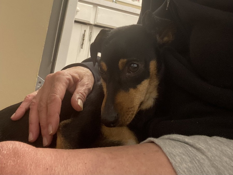 STANLEY (local)ky