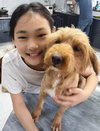 DiDi (China) ns - can arrv soon - Photo 2