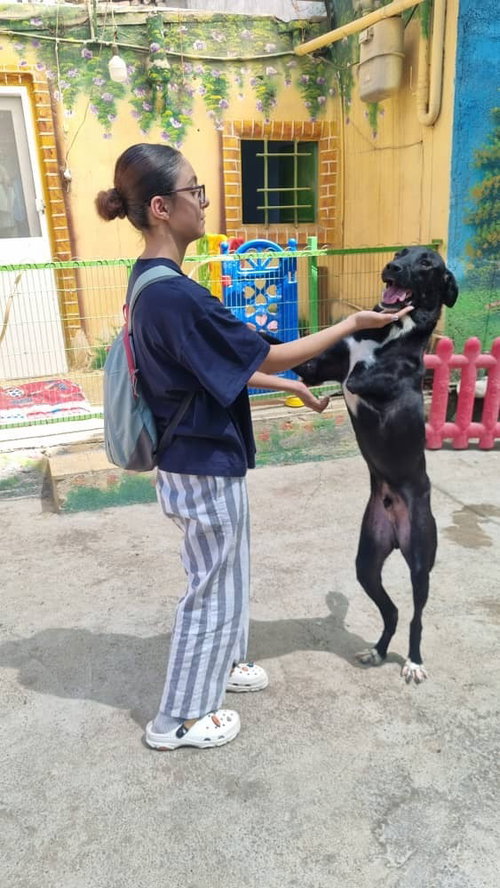 Hero (Mid-East) sm - TRIPAW photo 4
