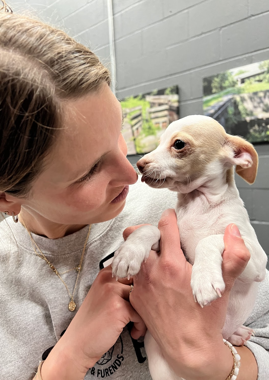 LOVER LITTER: VALENTINE