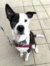 PETEY - Photo 3