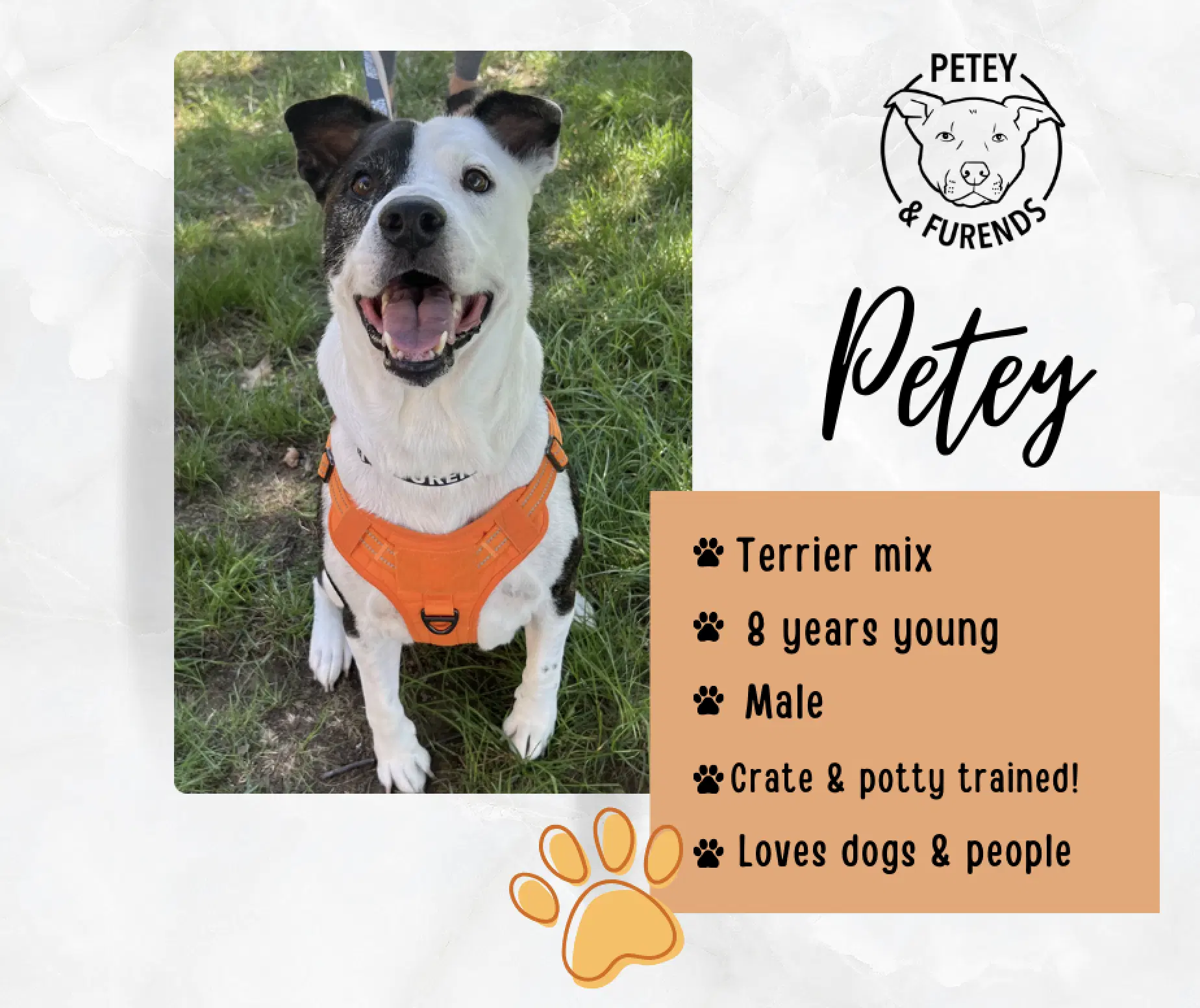 Petey image 3