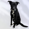 CAMBRIA - Photo 1