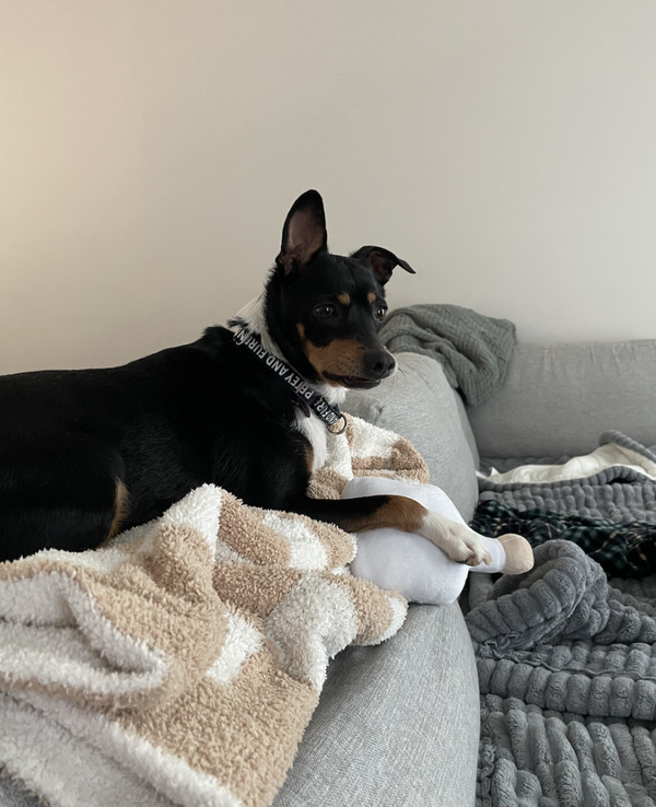 GRACIE