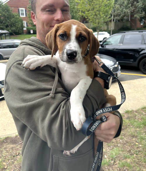 Photo 3 of SAVANNAH'S LITTER: TEDDY