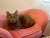 Baby - Photo 3