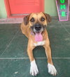Bailey - Photo 3