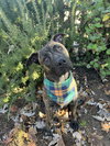 Oso - Photo 1