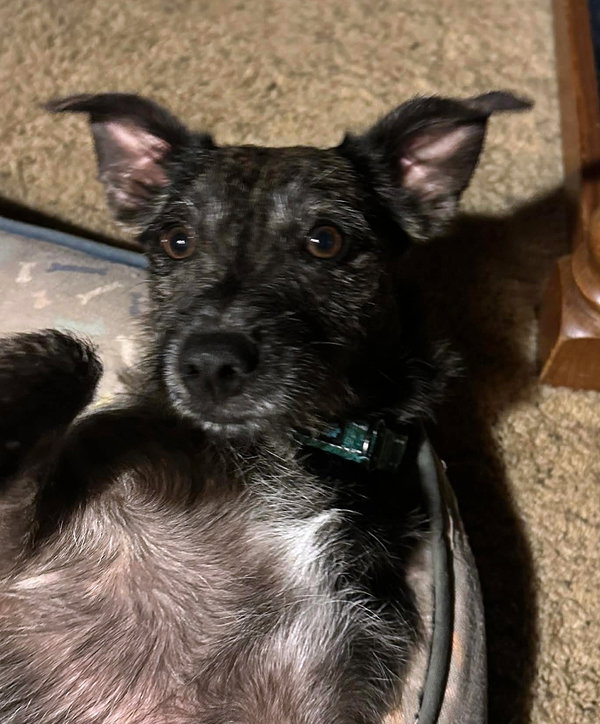 Riley