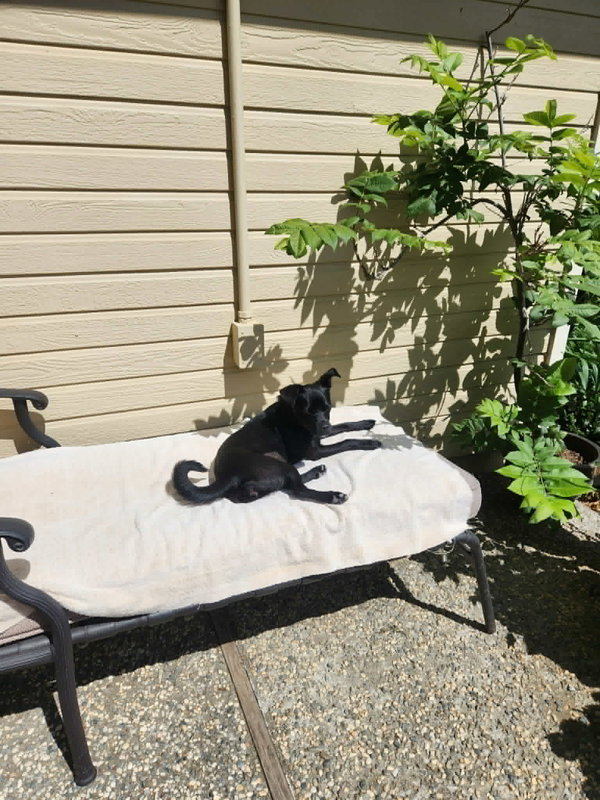 Zoe