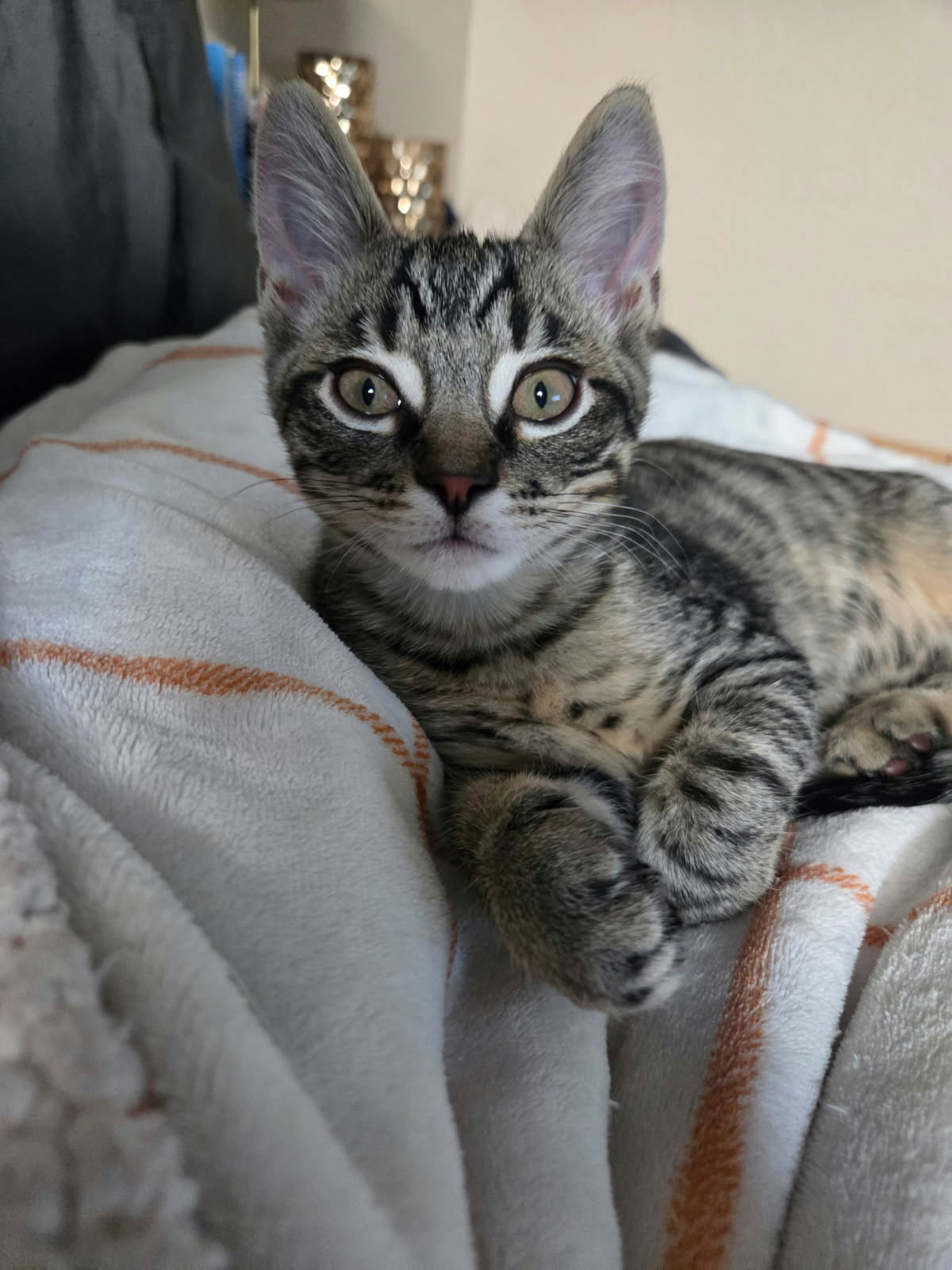 Romeo