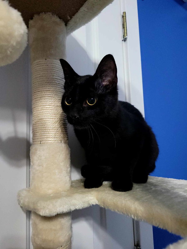 Salem