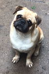 Sam