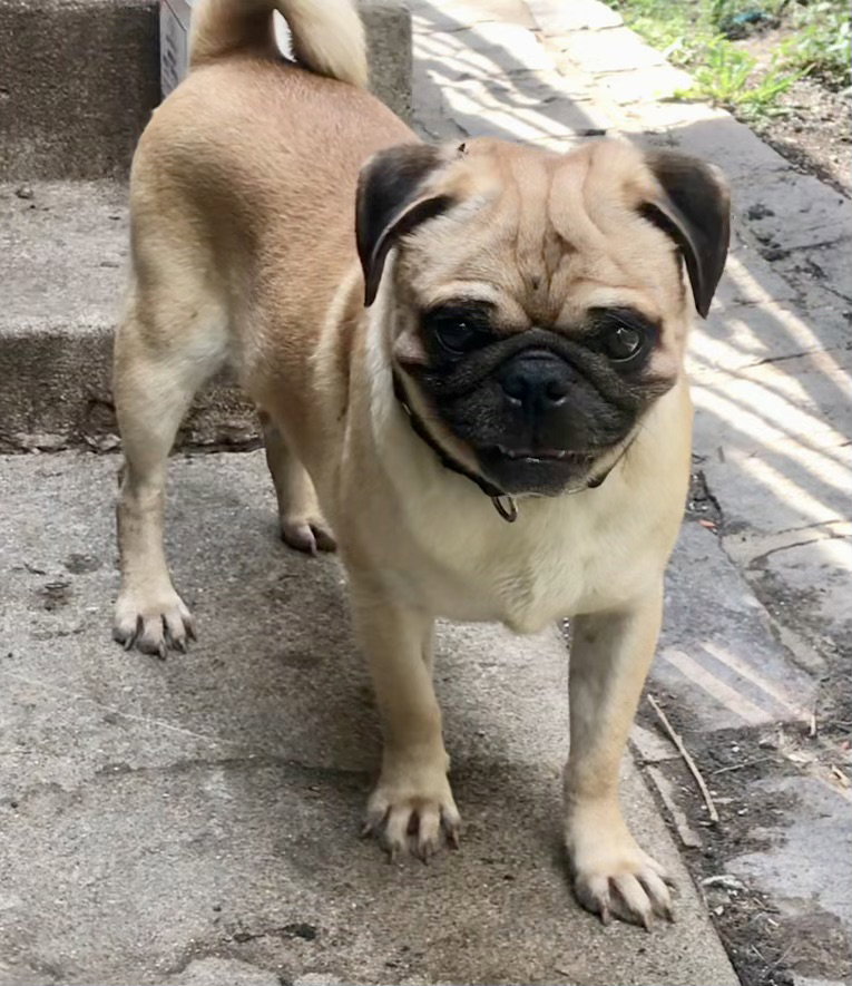 Sam