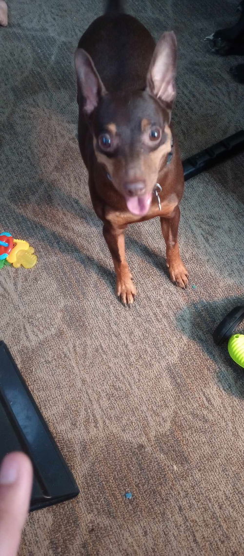 Kobe