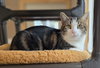Dave - Photo 2