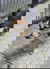 Gary