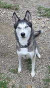 Ellie Mae - Photo 2
