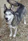 Ellie Mae - Photo 3