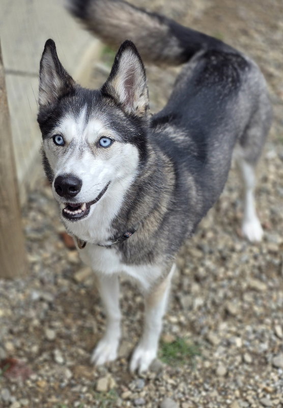 Ellie Mae