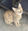 Junebug - Photo 4