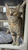 Junebug - Photo 3
