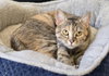 Junebug - Photo 2