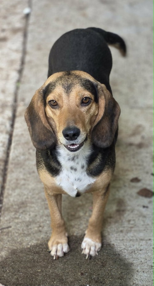 Photo 2 of Edna
