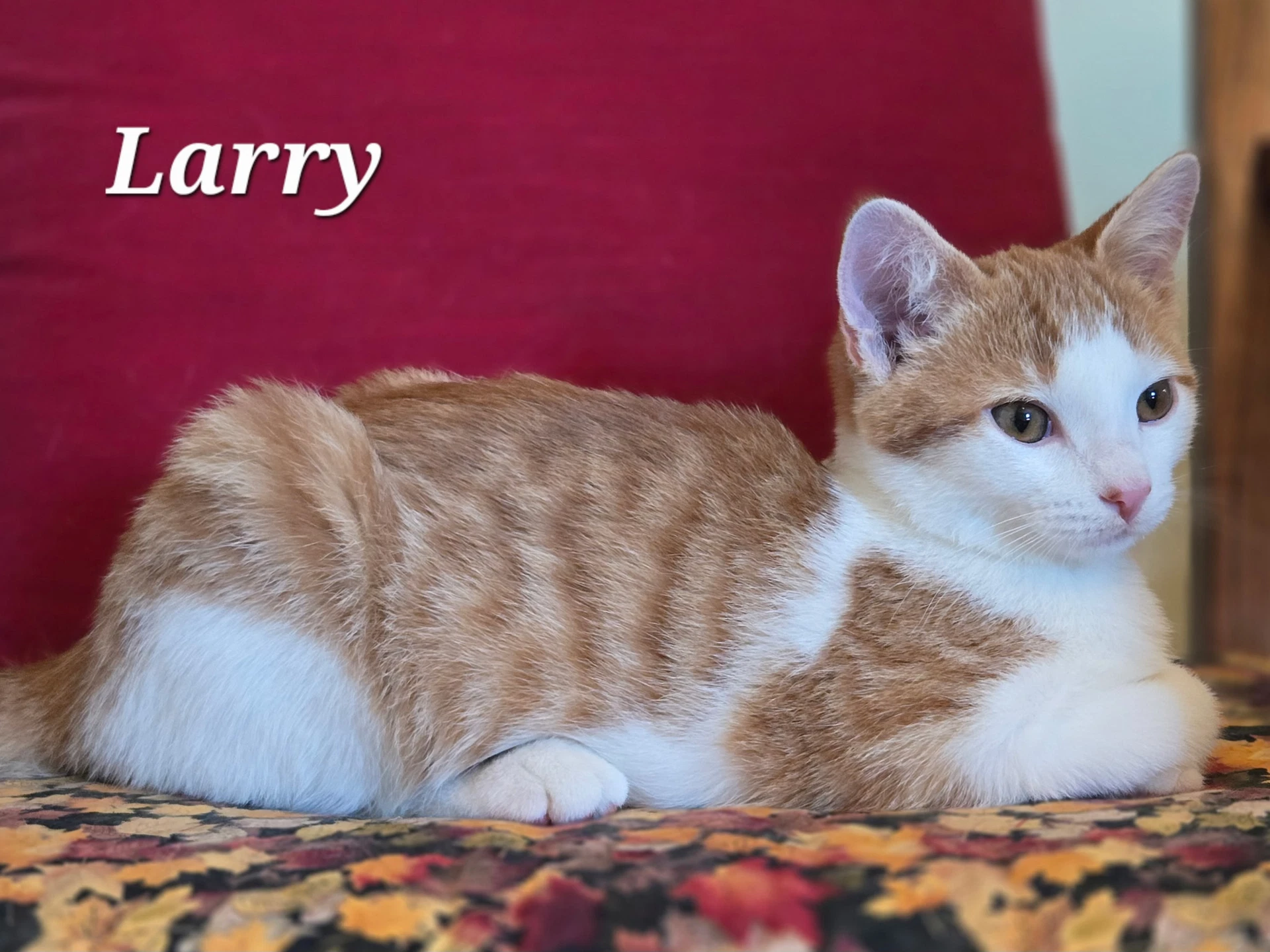Larry