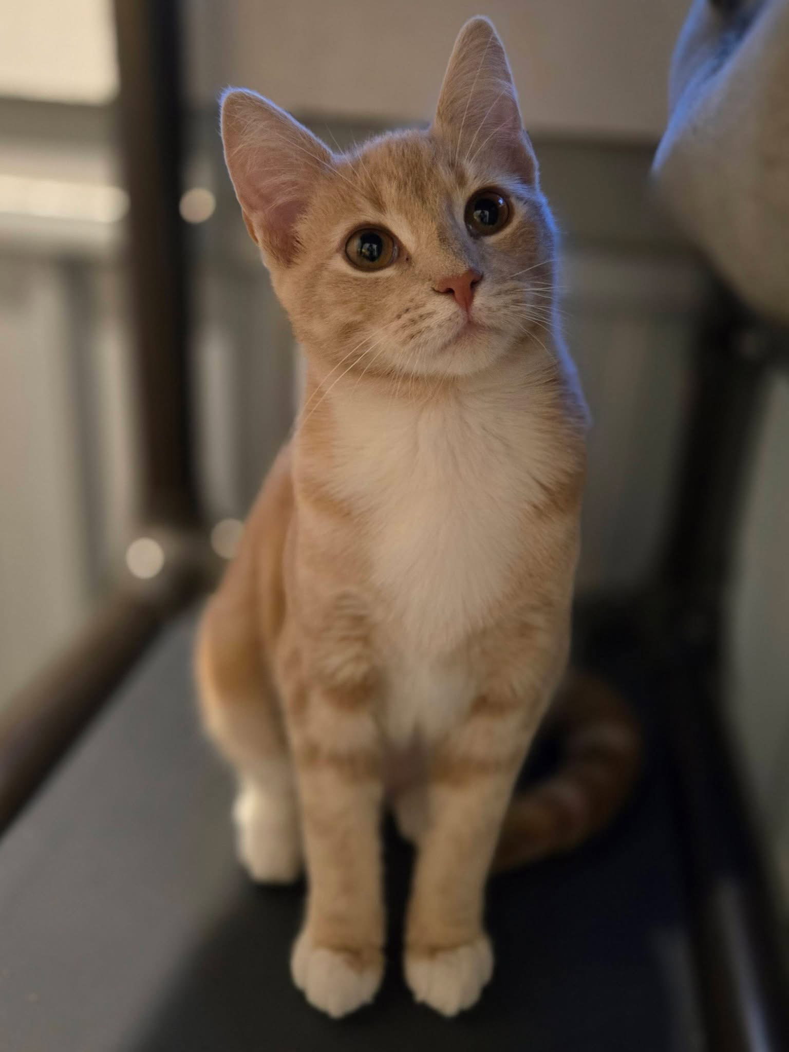 Lillian