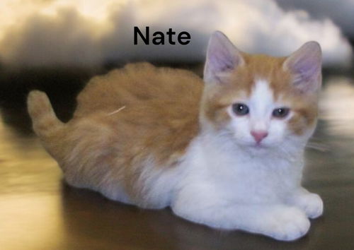 Nate