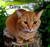 Gina