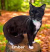 Ember/Jake