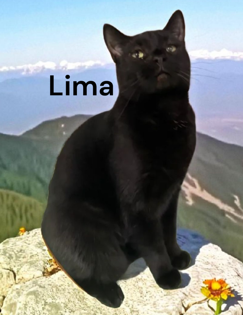 Lima