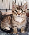 Laverne