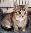 Laverne