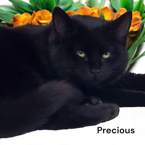 Precious