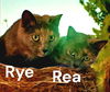 Rea