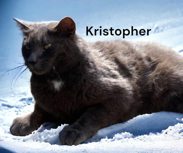 Kristopher