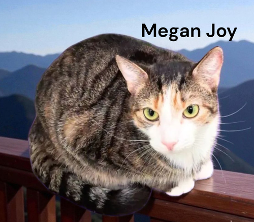 Megan Joy