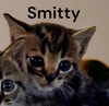 Smitty