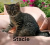 Stacie